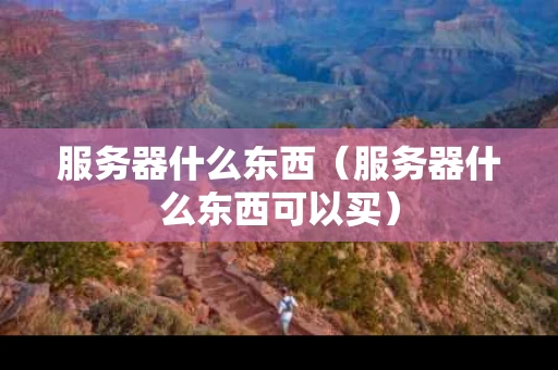 服务器什么东西（服务器什么东西可以买）