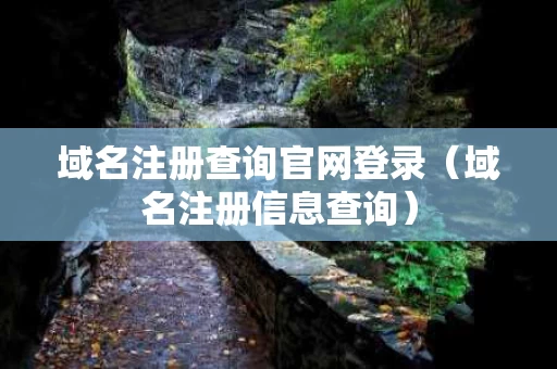 域名注册查询官网登录（域名注册信息查询）
