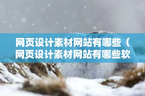 网页设计素材网站有哪些（网页设计素材网站有哪些软件）