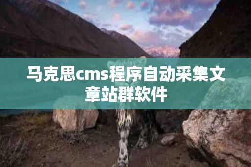 马克思cms程序自动采集文章站群软件