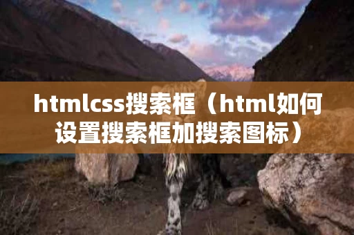 htmlcss搜索框（html如何设置搜索框加搜索图标）