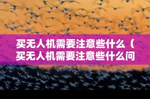 买无人机需要注意些什么（买无人机需要注意些什么问题）
