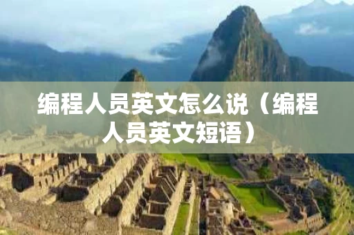 编程人员英文怎么说（编程人员英文短语）
