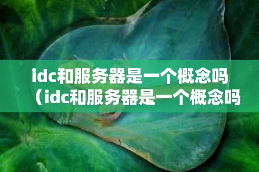 idc和服务器是一个概念吗（idc和服务器是一个概念吗）