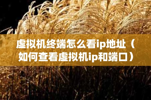 虚拟机终端怎么看ip地址（如何查看虚拟机ip和端口）