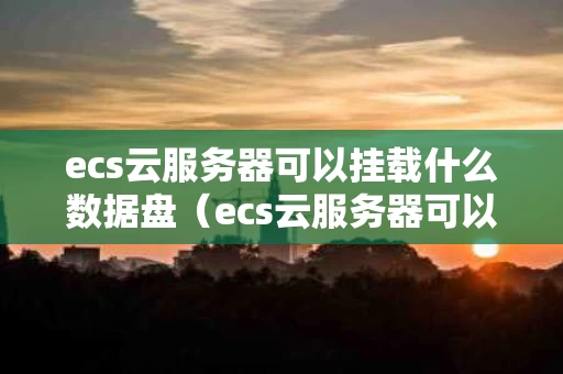 ecs云服务器可以挂载什么数据盘（ecs云服务器可以干什么）