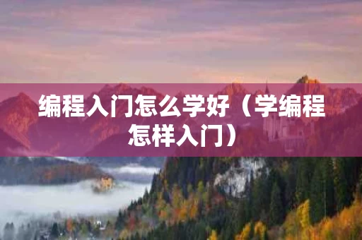 编程入门怎么学好（学编程怎样入门）