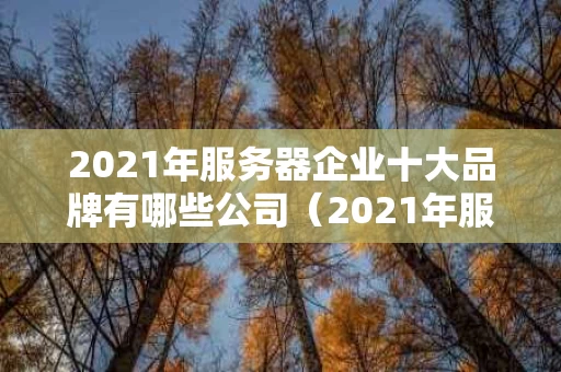 2021年服务器企业十大品牌有哪些公司（2021年服务器企业十大品牌有哪些公司呢）