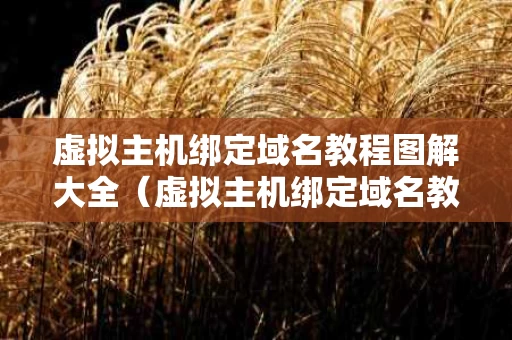 虚拟主机绑定域名教程图解大全（虚拟主机绑定域名教程图解大全下载）