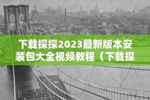 下载探探2023最新版本安装包大全视频教程（下载探探2021）