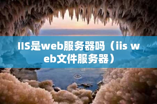 IIS是web服务器吗（iis web文件服务器）