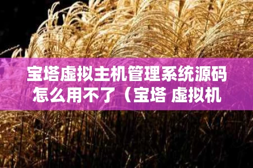 宝塔虚拟主机管理系统源码怎么用不了（宝塔 虚拟机）