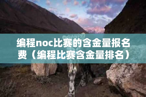 编程noc比赛的含金量报名费（编程比赛含金量排名）