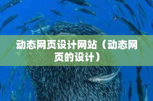 动态网页设计网站（动态网页的设计）