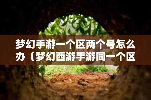 梦幻手游一个区两个号怎么办（梦幻西游手游同一个区两个号可以交易吗）