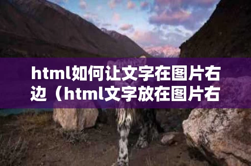 html如何让文字在图片右边（html文字放在图片右边并居中）