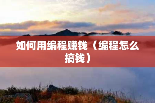 如何用编程赚钱（编程怎么搞钱）