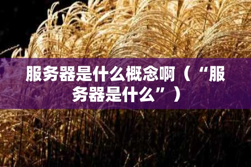 服务器是什么概念啊（“服务器是什么”）