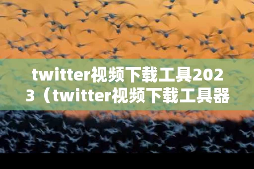 twitter视频下载工具2023（twitter视频下载工具器）