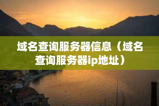 域名查询服务器信息（域名查询服务器ip地址）