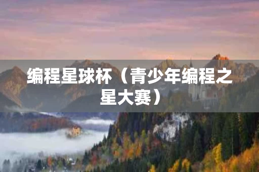 编程星球杯（青少年编程之星大赛）