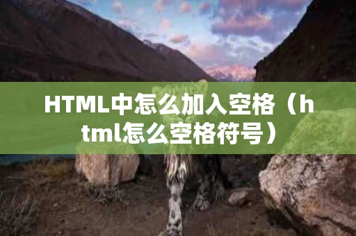 HTML中怎么加入空格（html怎么空格符号）