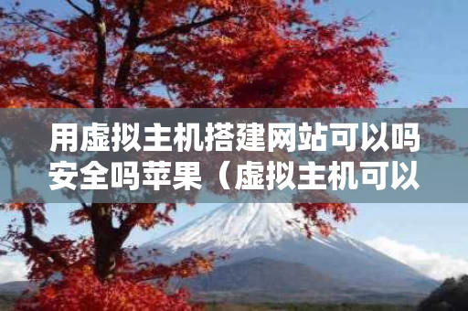 用虚拟主机搭建网站可以吗安全吗苹果（虚拟主机可以放置网站内容吗）