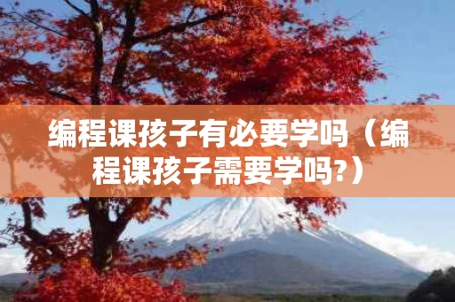 编程课孩子有必要学吗（编程课孩子需要学吗?）