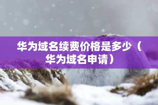 华为域名续费价格是多少（华为域名申请）