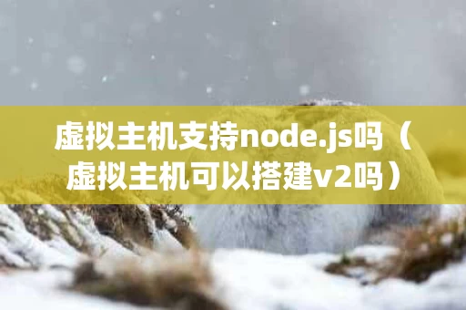 虚拟主机支持node.js吗（虚拟主机可以搭建v2吗）