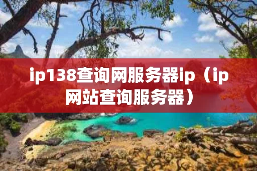 ip138查询网服务器ip（ip网站查询服务器）