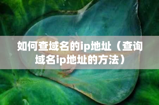 如何查域名的ip地址（查询域名ip地址的方法）