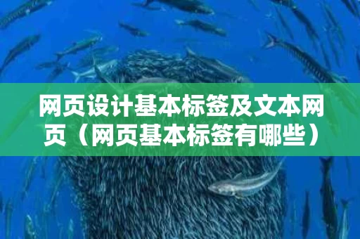 网页设计基本标签及文本网页（网页基本标签有哪些）