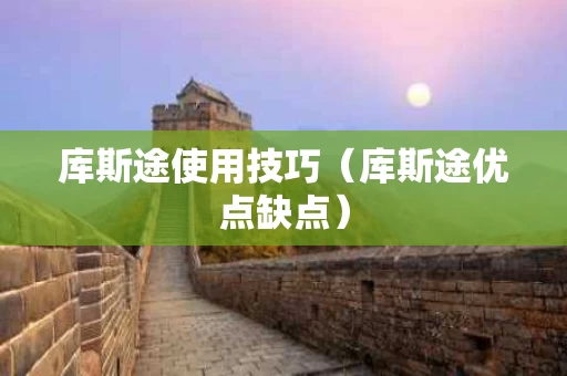 库斯途使用技巧（库斯途优点缺点）