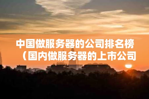 中国做服务器的公司排名榜（国内做服务器的上市公司）