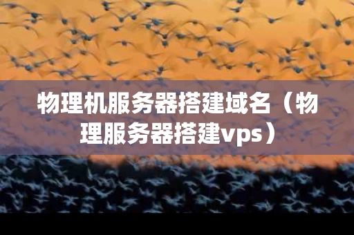 物理机服务器搭建域名（物理服务器搭建vps）