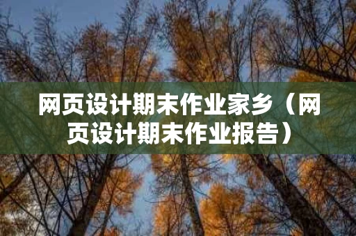 网页设计期末作业家乡（网页设计期末作业报告）