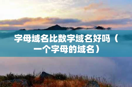 字母域名比数字域名好吗（一个字母的域名）