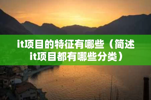 it项目的特征有哪些（简述it项目都有哪些分类）