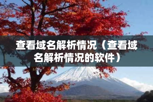 查看域名解析情况（查看域名解析情况的软件）