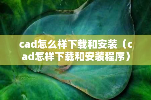 cad怎么样下载和安装（cad怎样下载和安装程序）