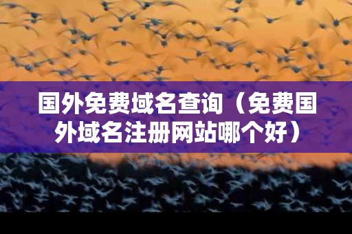 国外免费域名查询（免费国外域名注册网站哪个好）