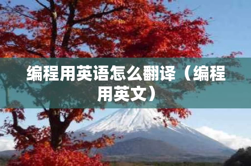 编程用英语怎么翻译（编程用英文）