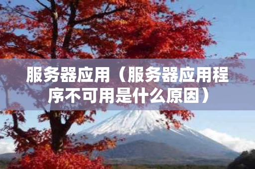 服务器应用（服务器应用程序不可用是什么原因）