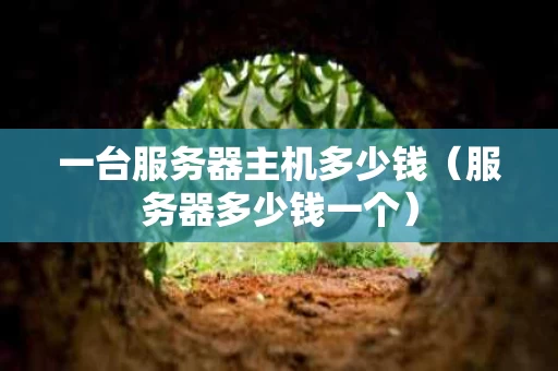 一台服务器主机多少钱（服务器多少钱一个）
