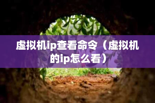 虚拟机ip查看命令（虚拟机的ip怎么看）