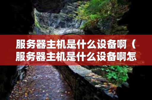 服务器主机是什么设备啊（服务器主机是什么设备啊怎么连接）