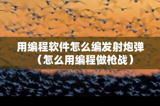 用编程软件怎么编发射炮弹（怎么用编程做枪战）