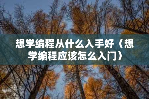 想学编程从什么入手好（想学编程应该怎么入门）