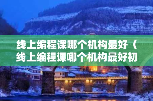线上编程课哪个机构最好（线上编程课哪个机构最好初中生能学）